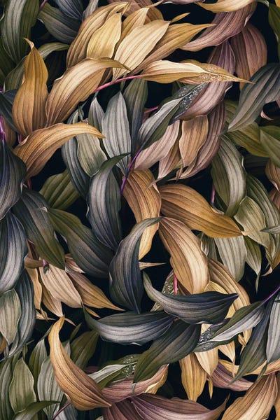 Burcu Korkmazyurek: Tropical Magic Forest IV by Burcu Korkmazyurek