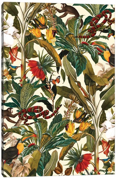 Beautiful Forest IV Canvas Art Print - Toucan Art