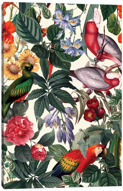 Floral And Birds XXXIX Canvas Art Print - Burcu Korkmazyurek