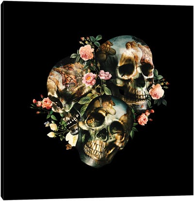 Skull & Venus Canvas Art Print - Alternative Décor