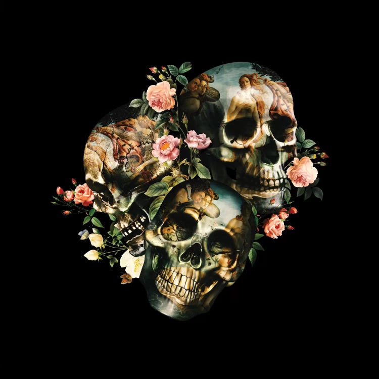 Skull & Venus