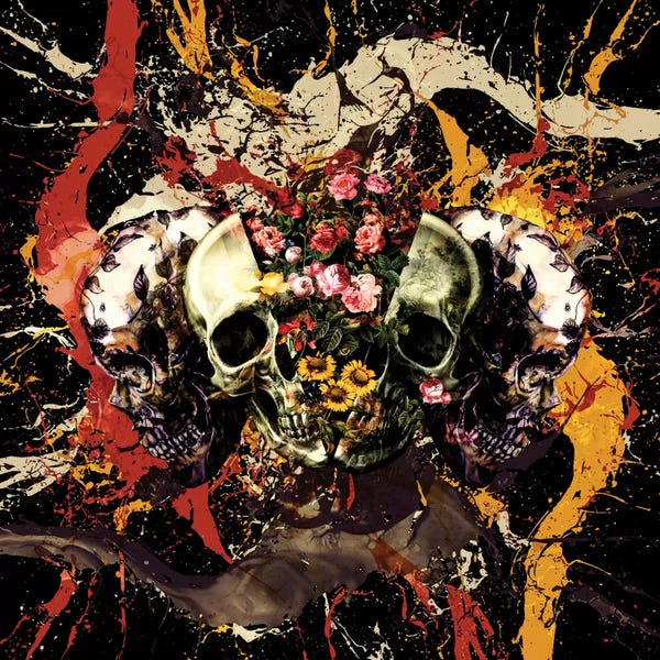 Skulls: Skull I by Burcu Korkmazyurek