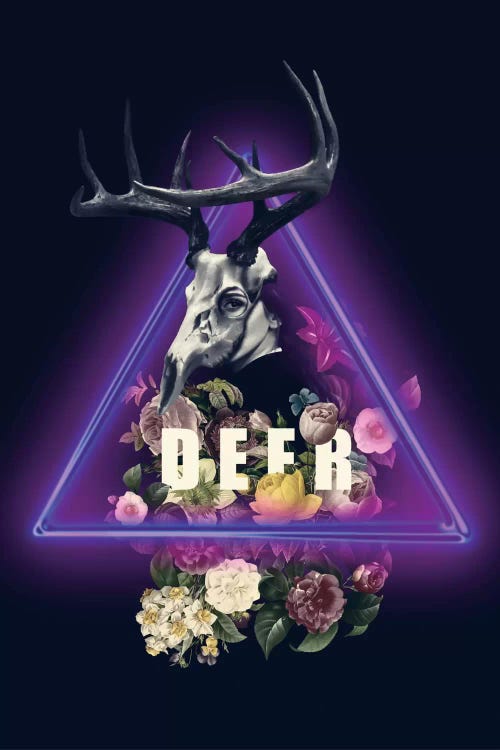 Deer by Burcu Korkmazyurek wall art
