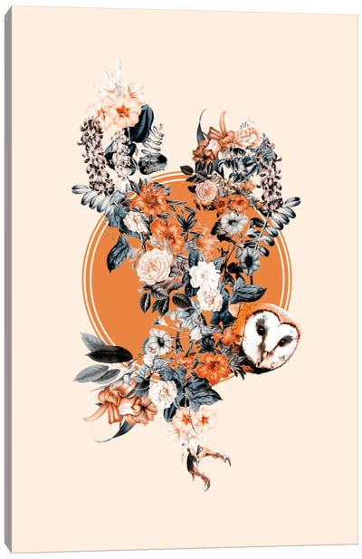Floral Owl Canvas Art Print - Burcu Korkmazyurek