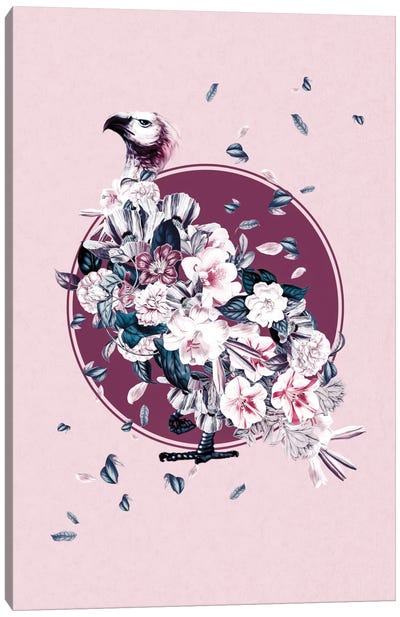 Floral Vulture Canvas Art Print - Buzzard & Hawk Art