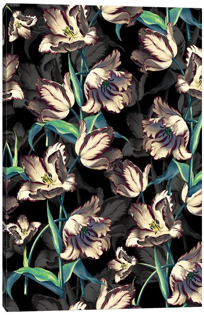 Night Forest XIII Canvas Art Print - Tulip Art