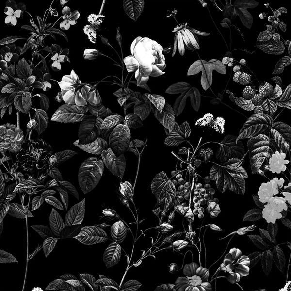 Floral & Botanical Patterns: Siyah by Burcu Korkmazyurek