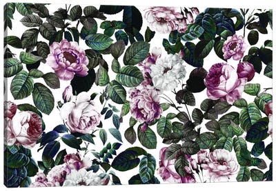 Vintage Garden II Canvas Art Print - Rose Art