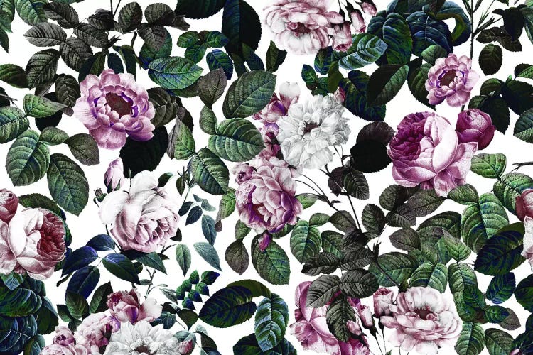 Vintage Garden II by Burcu Korkmazyurek wall art