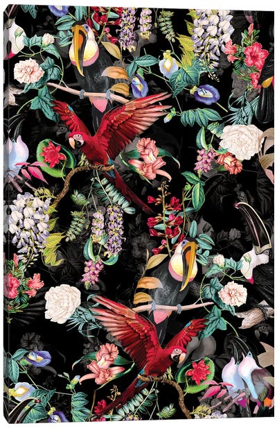 Floral And Birds IX Canvas Art Print - Tropical Décor