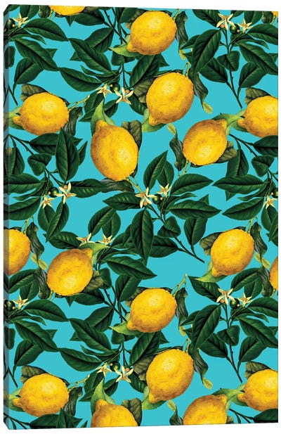 Lemon And Leaf Canvas Art Print - Burcu Korkmazyurek