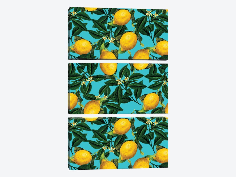Lemon And Leaf by Burcu Korkmazyurek 3-piece Canvas Artwork