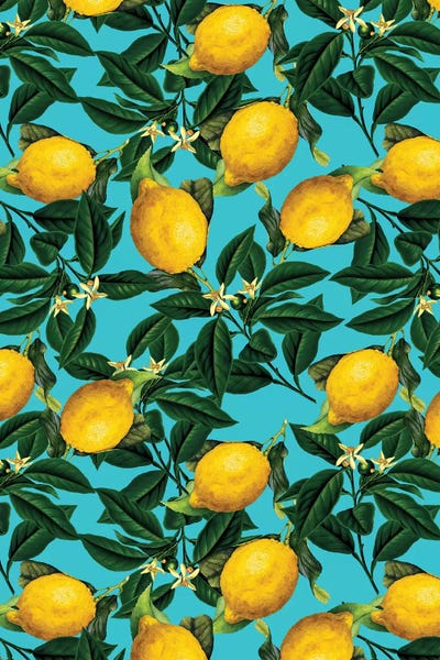 Pop Art Kitchen: Lemon And Leaf by Burcu Korkmazyurek