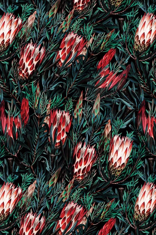 Protea Floral Night Pattern by Burcu Korkmazyurek wall art