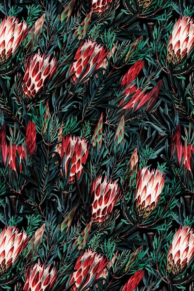 Protea: Protea Floral Night Pattern by Burcu Korkmazyurek