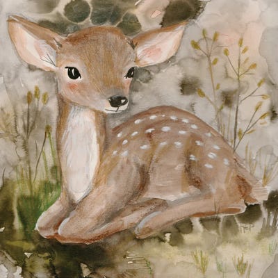 Little Fawn by Bernadett Urbanovics framed wall art