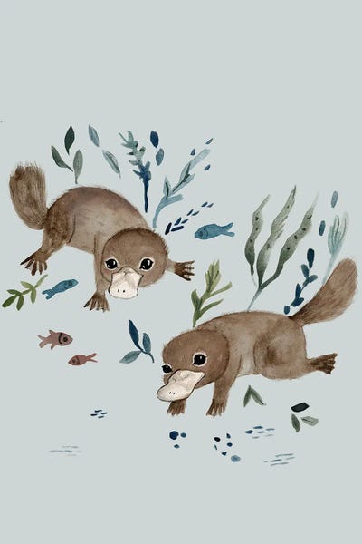 Kids Ocean Life Art: Platypus by Bernadett Urbanovics