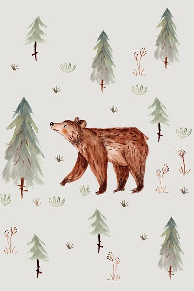 Brown Bears: The Bear by Bernadett Urbanovics