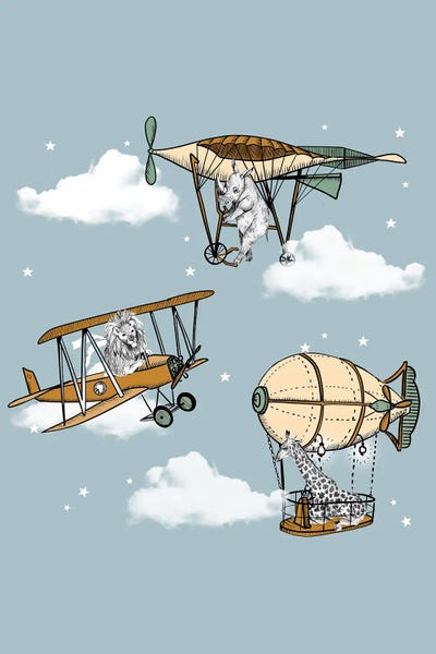 Airplanes: Safari Reve by Bernadett Urbanovics