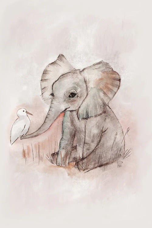 Baby Elephant