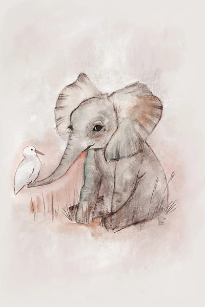 Baby Elephant
