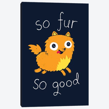 So Fur So Good Canvas Print #BUX17} by Michael Buxton Canvas Wall Art