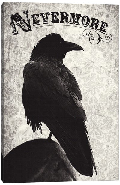 Nevermore Canvas Art Print - Michael Buxton