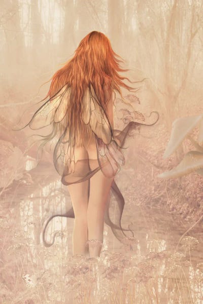 Babette Van den Berg: Carpe Diem by Babette Van den Berg