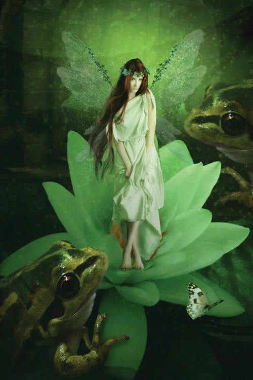 Fairy LXVI by Babette Van den Berg wall art