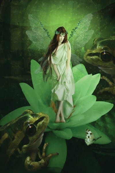 Frogs: Fairy LXVI by Babette Van den Berg