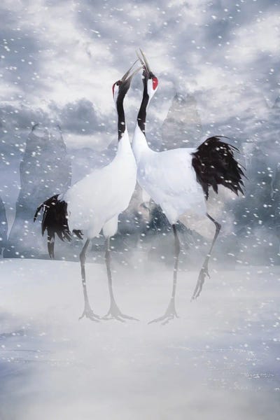 Snow: Liefdeskaart V by Babette Van den Berg