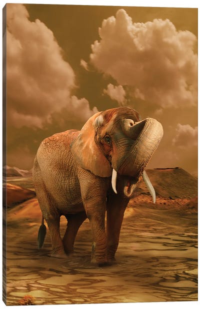 The Elephant Ricardo VI Canvas Art Print - Babette Van den Berg