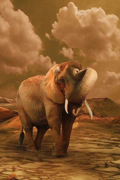 The Elephant Ricardo VI