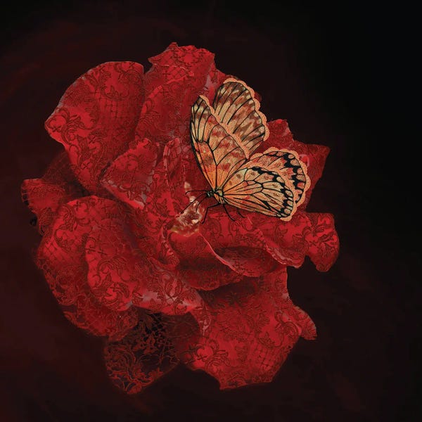 Butterflies and Flowers: Lace by Babette Van den Berg