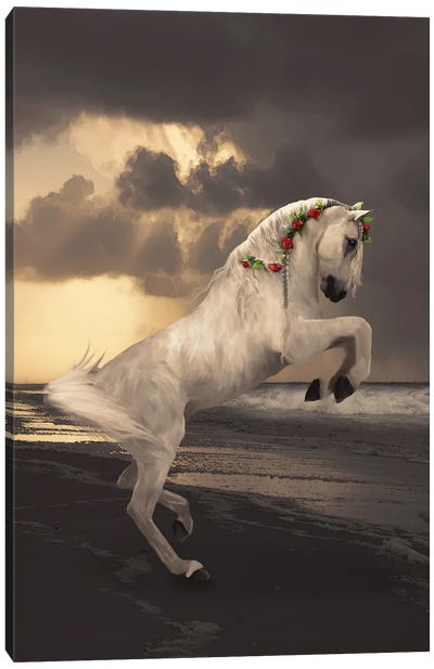 Paard Met Rozen Canvas Art Print - Babette Van den Berg