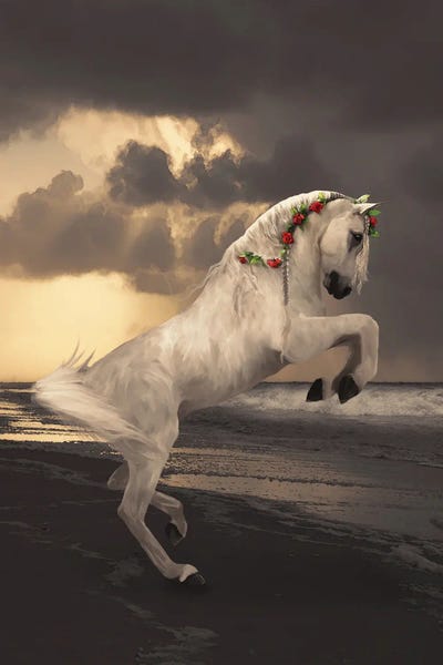 Babette Van den Berg: Paard Met Rozen by Babette Van den Berg
