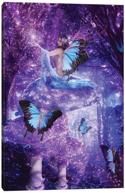 Sky Fairy Canvas Art Print - Babette Van den Berg
