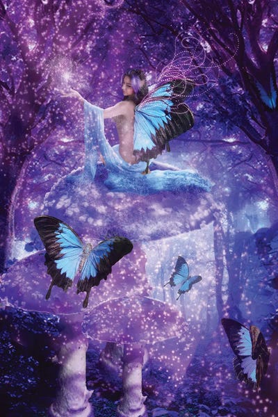 Babette Van den Berg: Sky Fairy by Babette Van den Berg