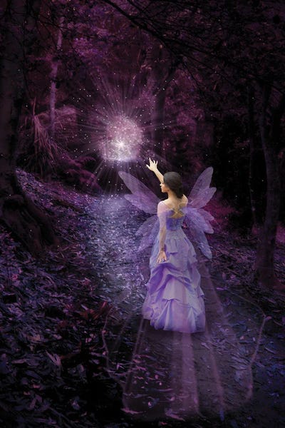 Night Fairy by Babette Van den Berg framed wall art