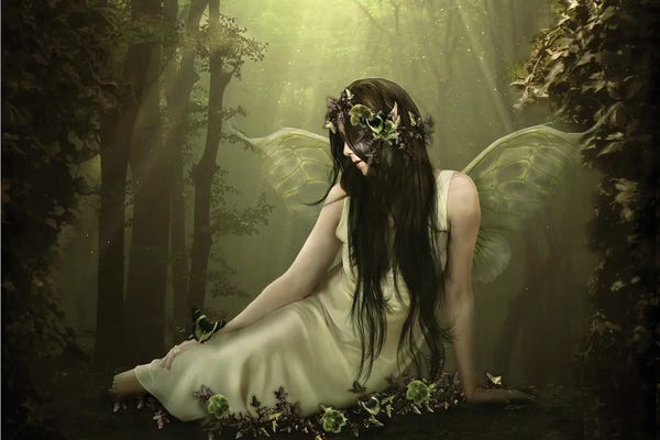 Babette Van den Berg: Forest Fairy by Babette Van den Berg