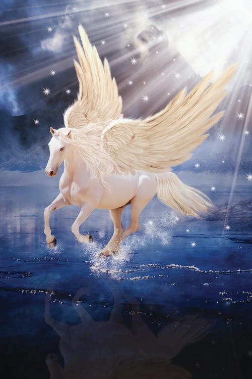 Pegasus by Babette Van den Berg wall art
