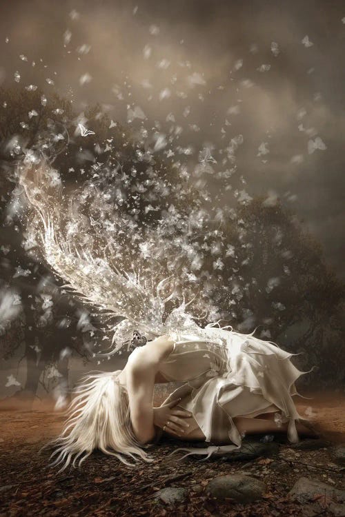 Sorrow by Babette Van den Berg canvas print