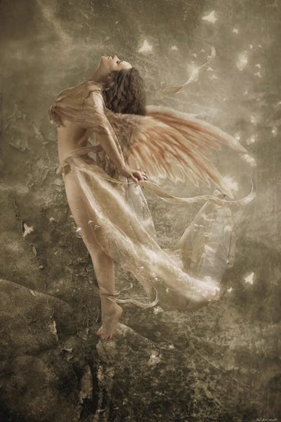 All Browns: Wild Dance by Babette Van den Berg