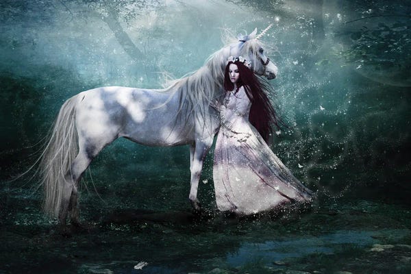Unicorns: Faith Of The Unicorn by Babette Van den Berg