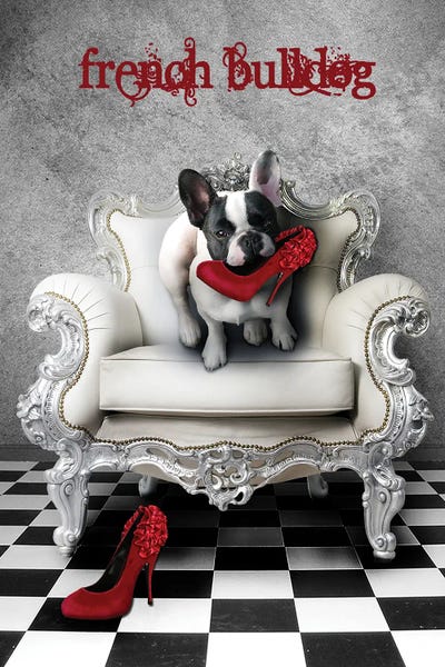 Babette Van den Berg: French Bulldog by Babette Van den Berg