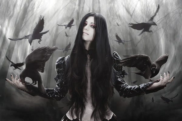 Goth Art: Jackdaw by Babette Van den Berg