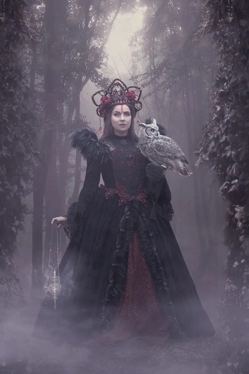 Woods Of Wisdom