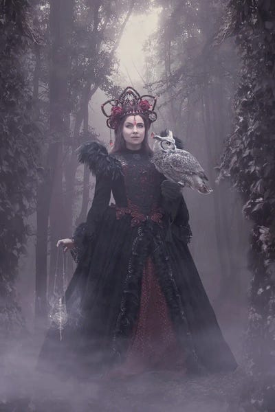 Witches: Woods Of Wisdom by Babette Van den Berg