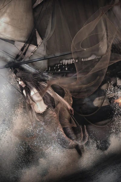 Goth Art: Mermaid Ahead by Babette Van den Berg