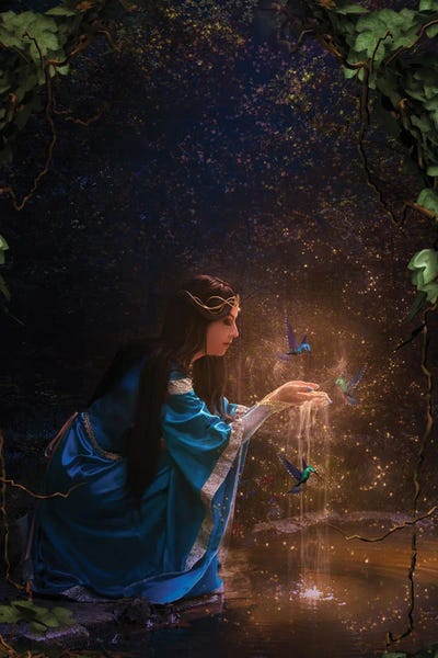 Hummingbirds: Lady Of The Lake by Babette Van den Berg